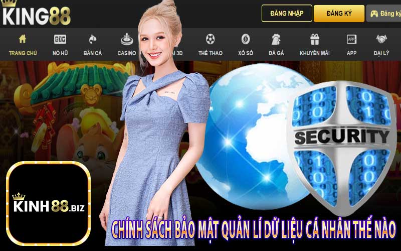 Chính Sách Bảo Mật Quản Lí Dữ Liệu Cá Nhân Thế Nào