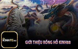 Giới Thiệu Rồng Hỗ Kinh88